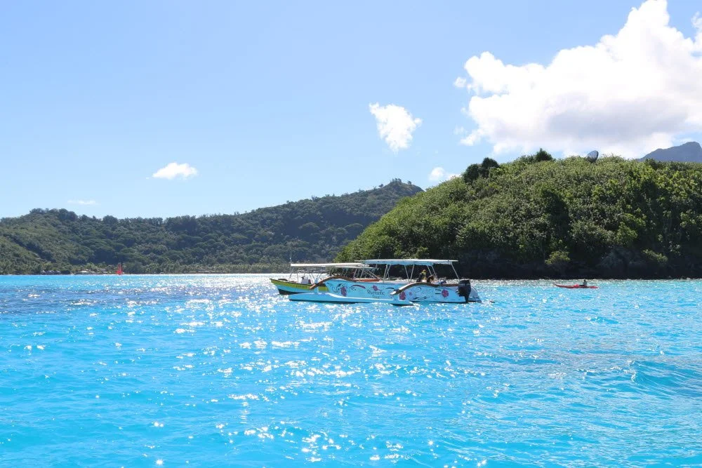 %ED%83%80%ED%9E%88%ED%8B%B0_%282%29.JPG?type=w1200