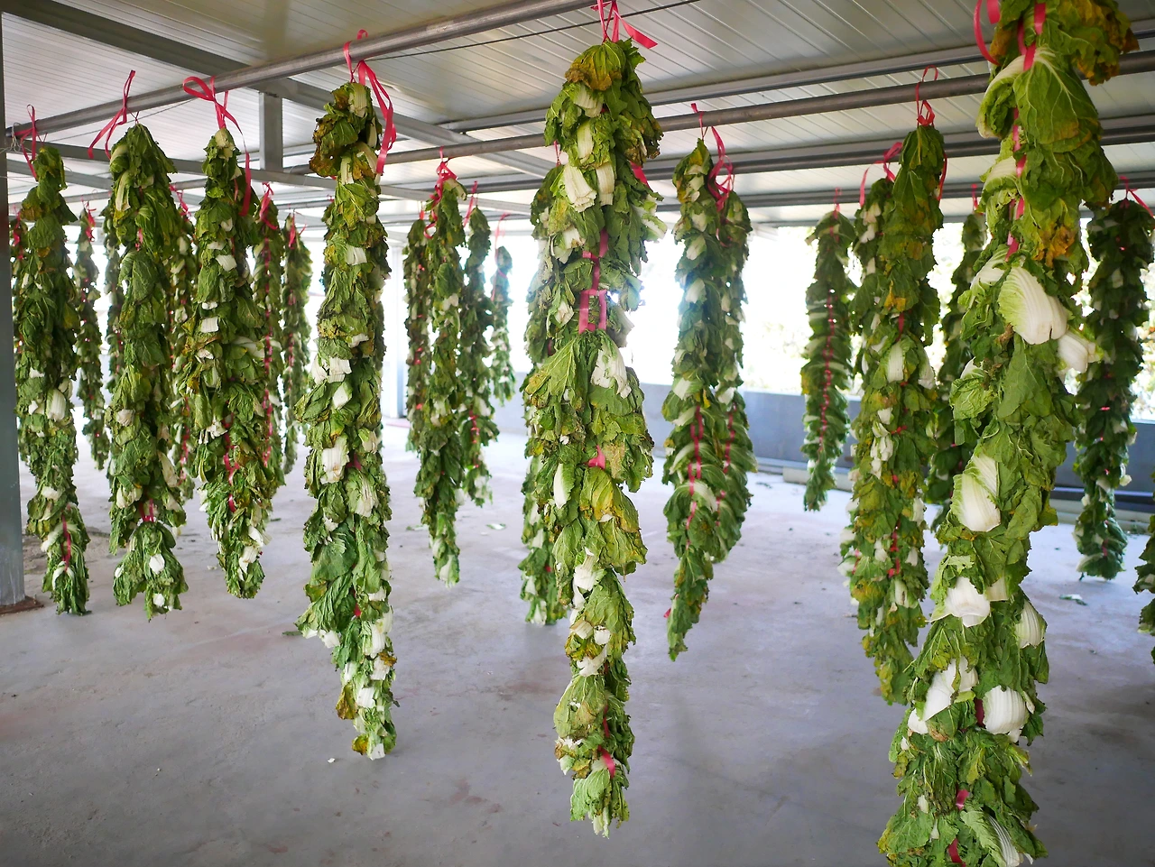 우거지짬뽕 외남반점3.JPG