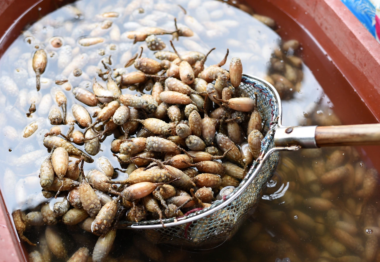 5[이층횟집]생 미더덕.JPG