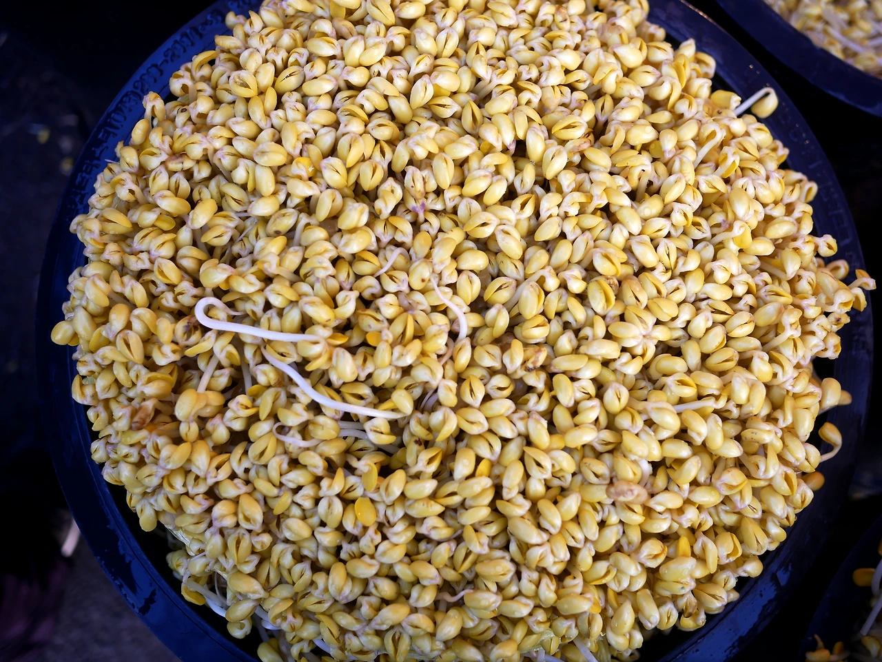 전주 콩나물2.JPG