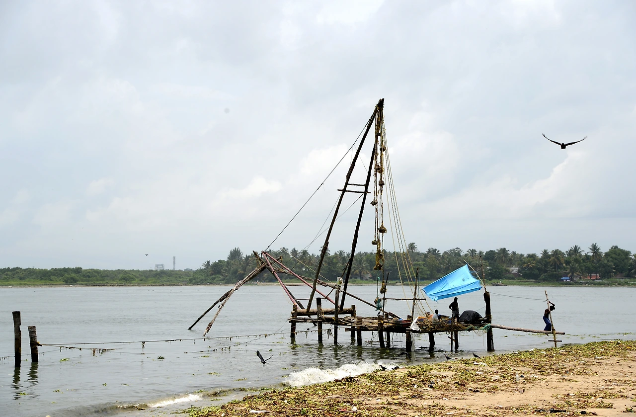 인도 코친 항 풍경.JPG