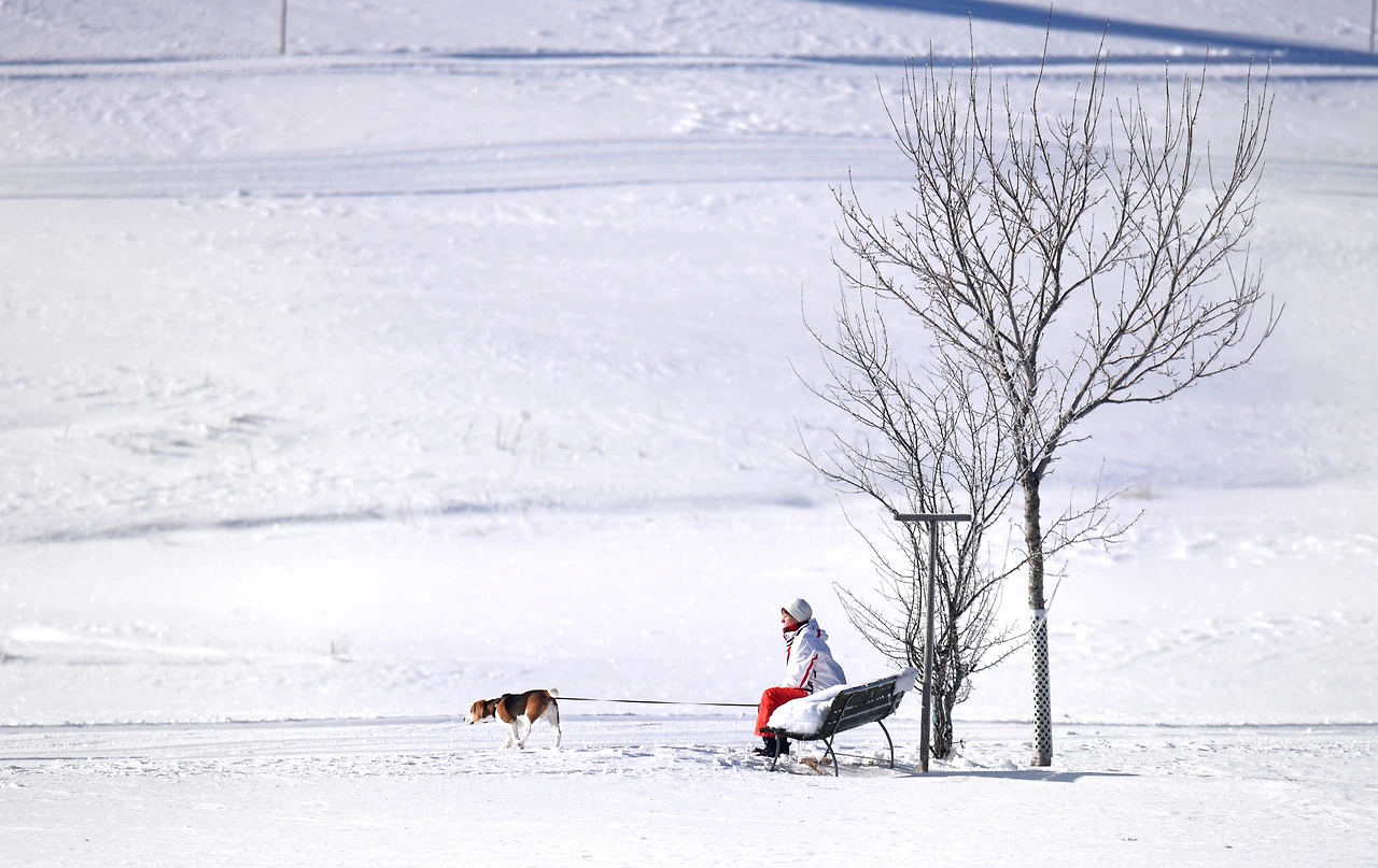 독일 블랙포레스트의 겨울.JPG