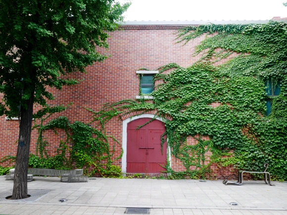 0003211651_002_20210826050720817.jpg?type=w647