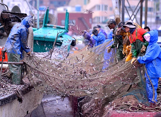 0002509857_003_20220414101601101.jpg?type=w647