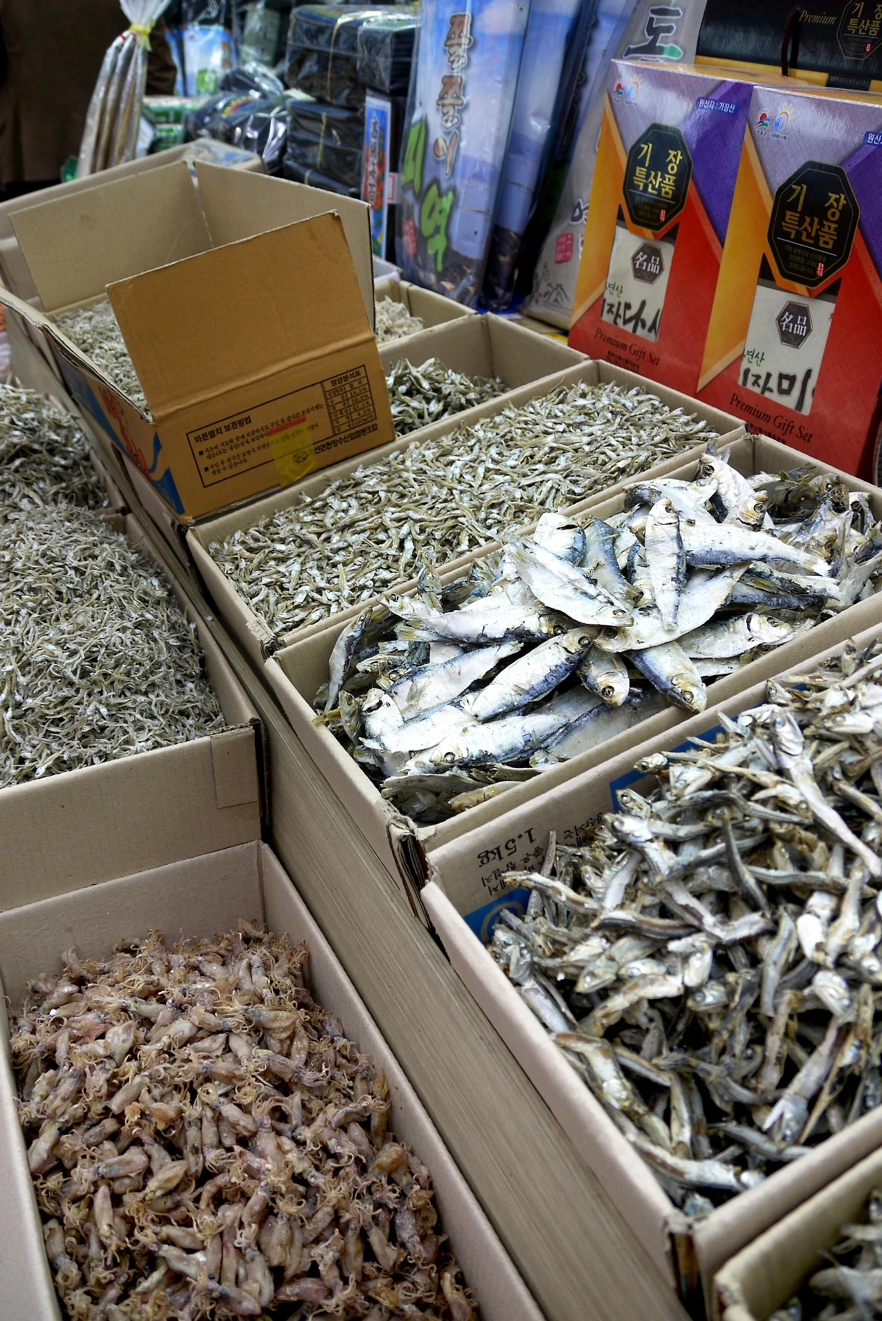 기장의 명물 멸치.JPG
