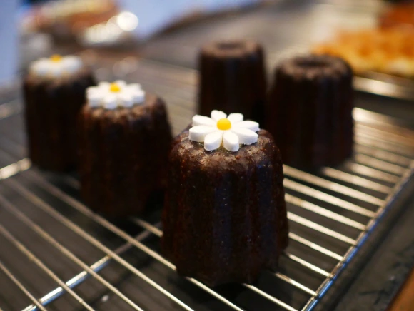 0003211651_014_20210826050721855.jpg?type=w647