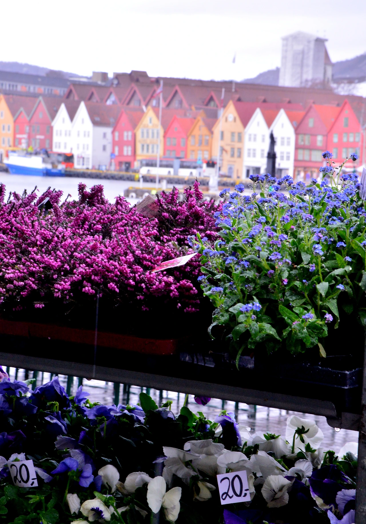 한자동맹의 역사를 오롯이 간직한 베르겐의 브리겐.JPG