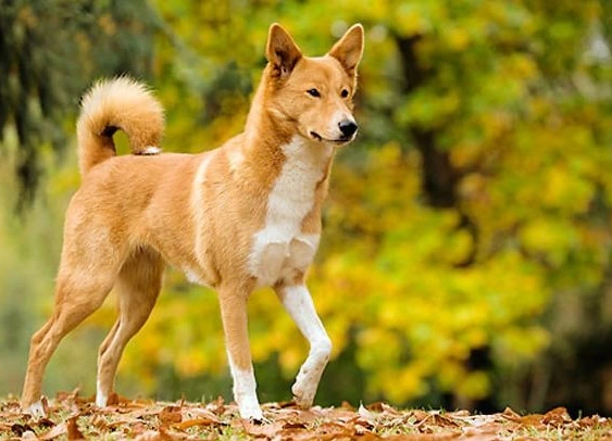 2020-08-29 15;36;00.PNG