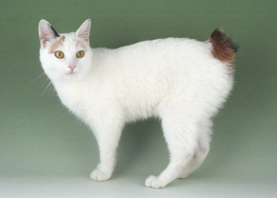 2020-09-03 15;12;44.PNG