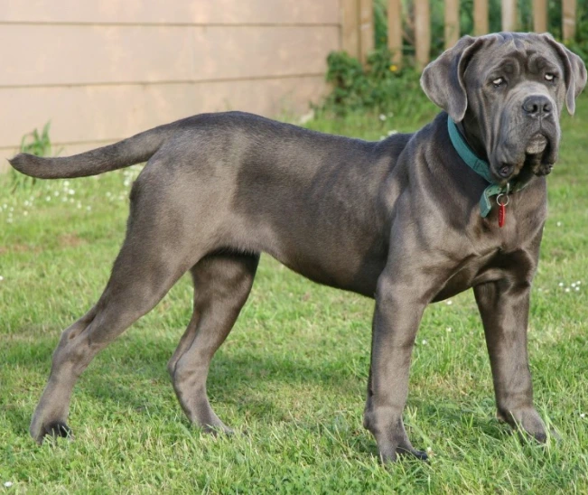 2020-09-06 15;38;37.PNG