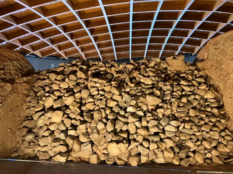 KakaoTalk_20240727_202544534.jpg?type=w773