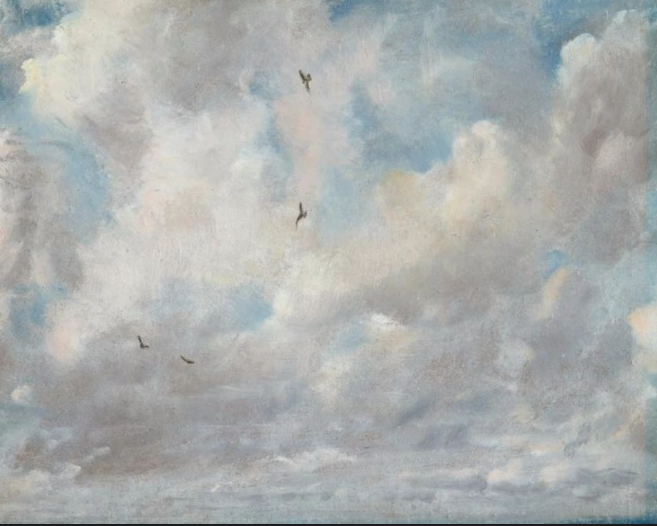 2022-01-19 17;07;52.PNG