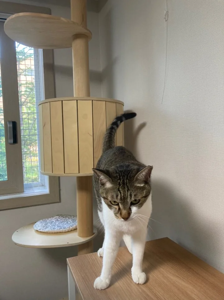 KakaoTalk_20210809_165321965.jpg?type=w1