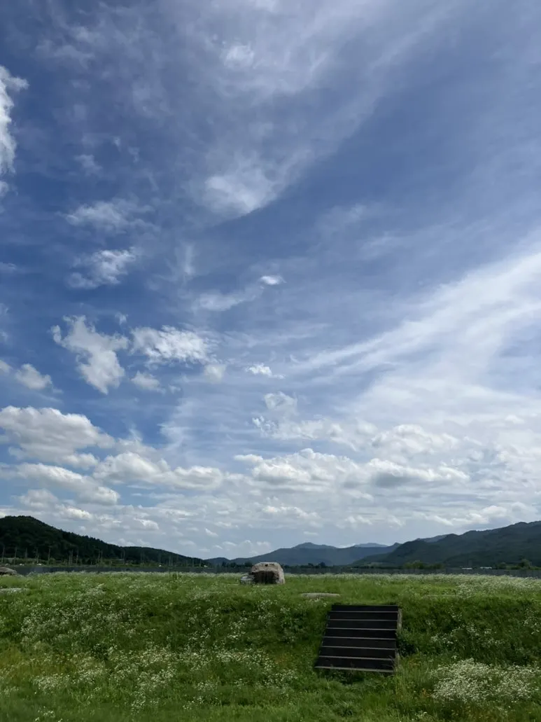 KakaoTalk_20240726_232739483.jpg?type=w773