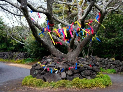 2024-07-27 20;30;20.PNG