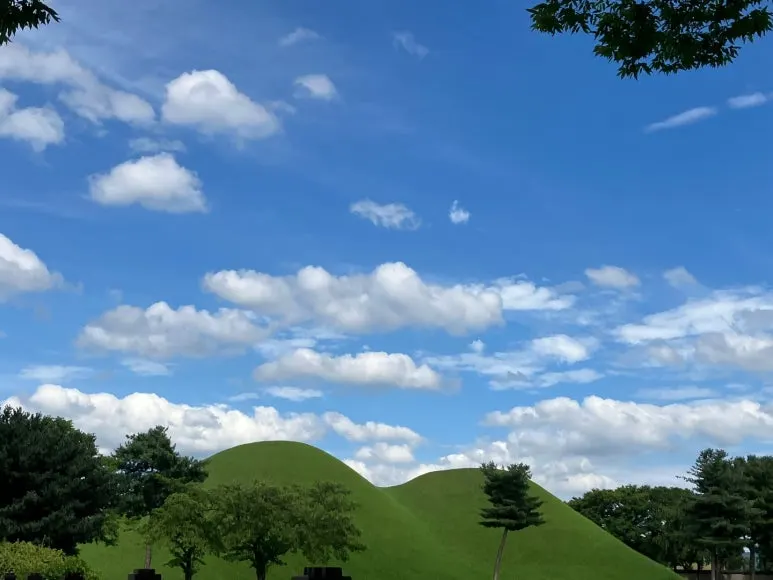 KakaoTalk_20240727_202545201.jpg?type=w773