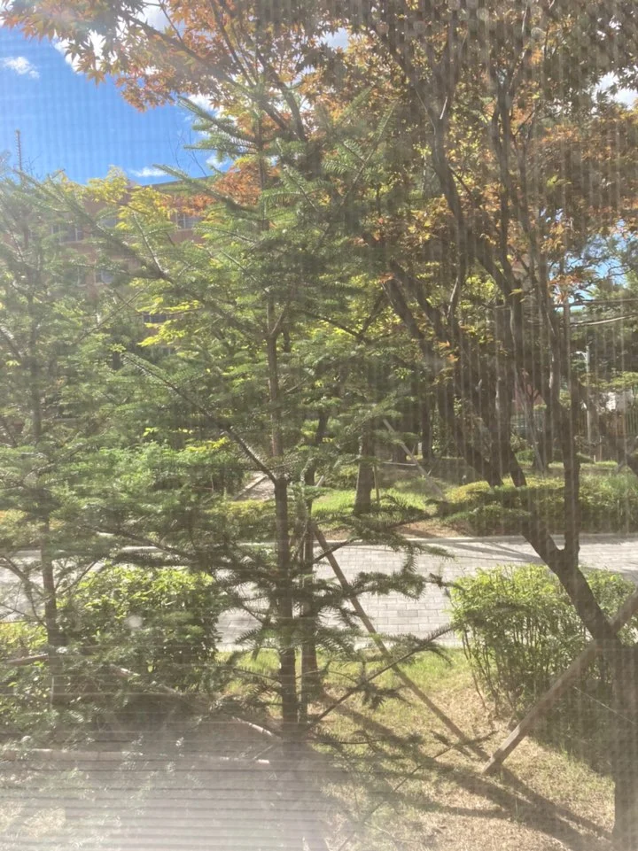 KakaoTalk_20210809_083447675.jpg?type=w1