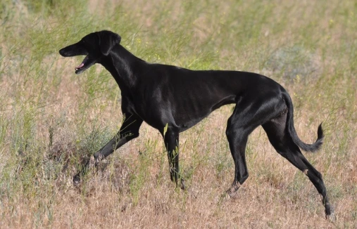 2020-09-03 11;16;10.PNG