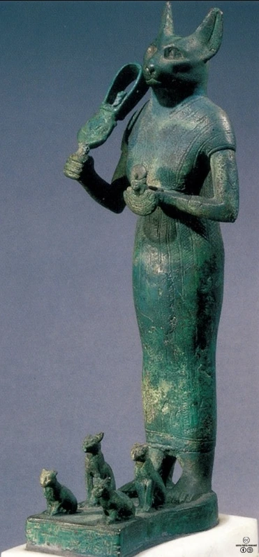 2020-08-31 20;14;11.PNG