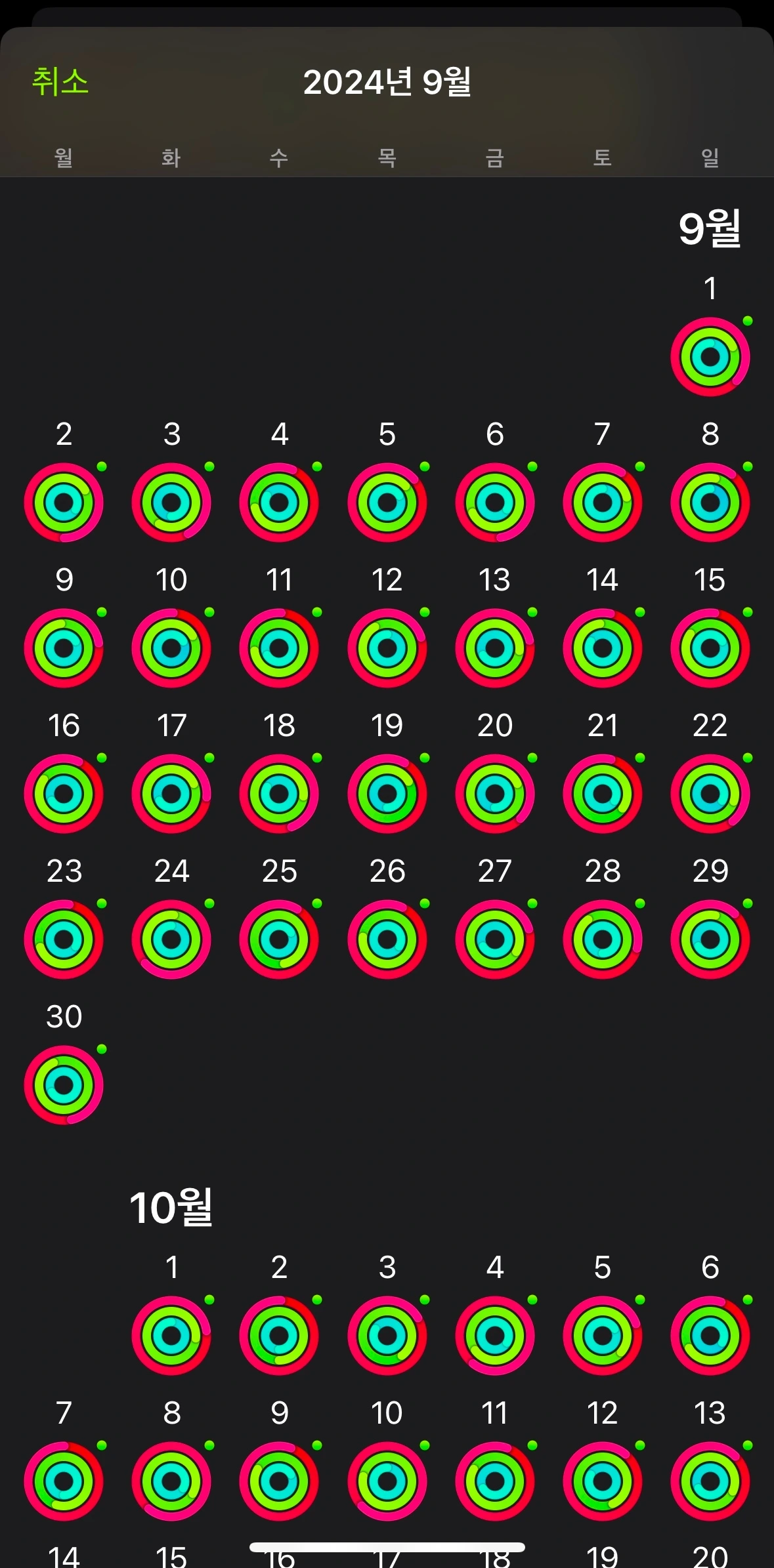 KakaoTalk_Photo_2024-12-31-13-09-18 002.jpeg
