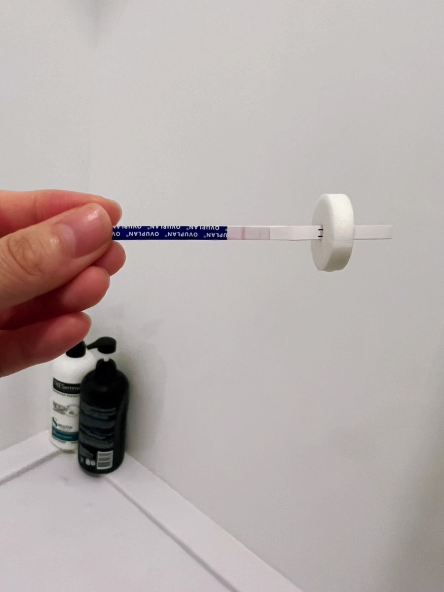 SE-5C7227C4-3F91-48FE-810C-EC4E07260485.jpg?type=w1