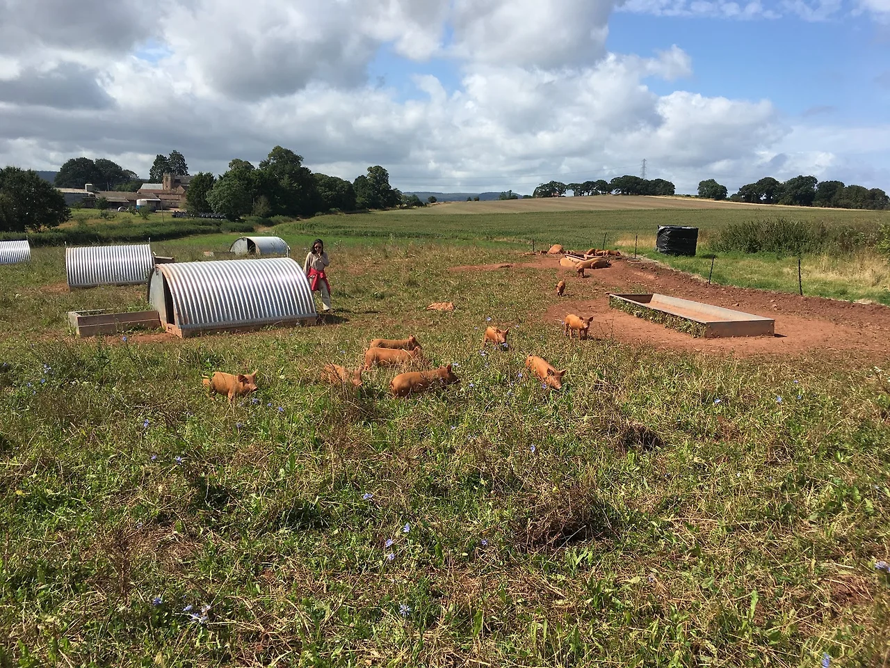 kB62aALUzergIEASkzhOv-7EMi8FQg9R-lyK0-qyCjqRPDwV01j598_p0T8p_jt2mrSJlAah85yl75oOaDhMlkc-M332XVGs91HJL0ytDR2iiUQdZOEGlgYv-usTLJxTFzsjGNsK