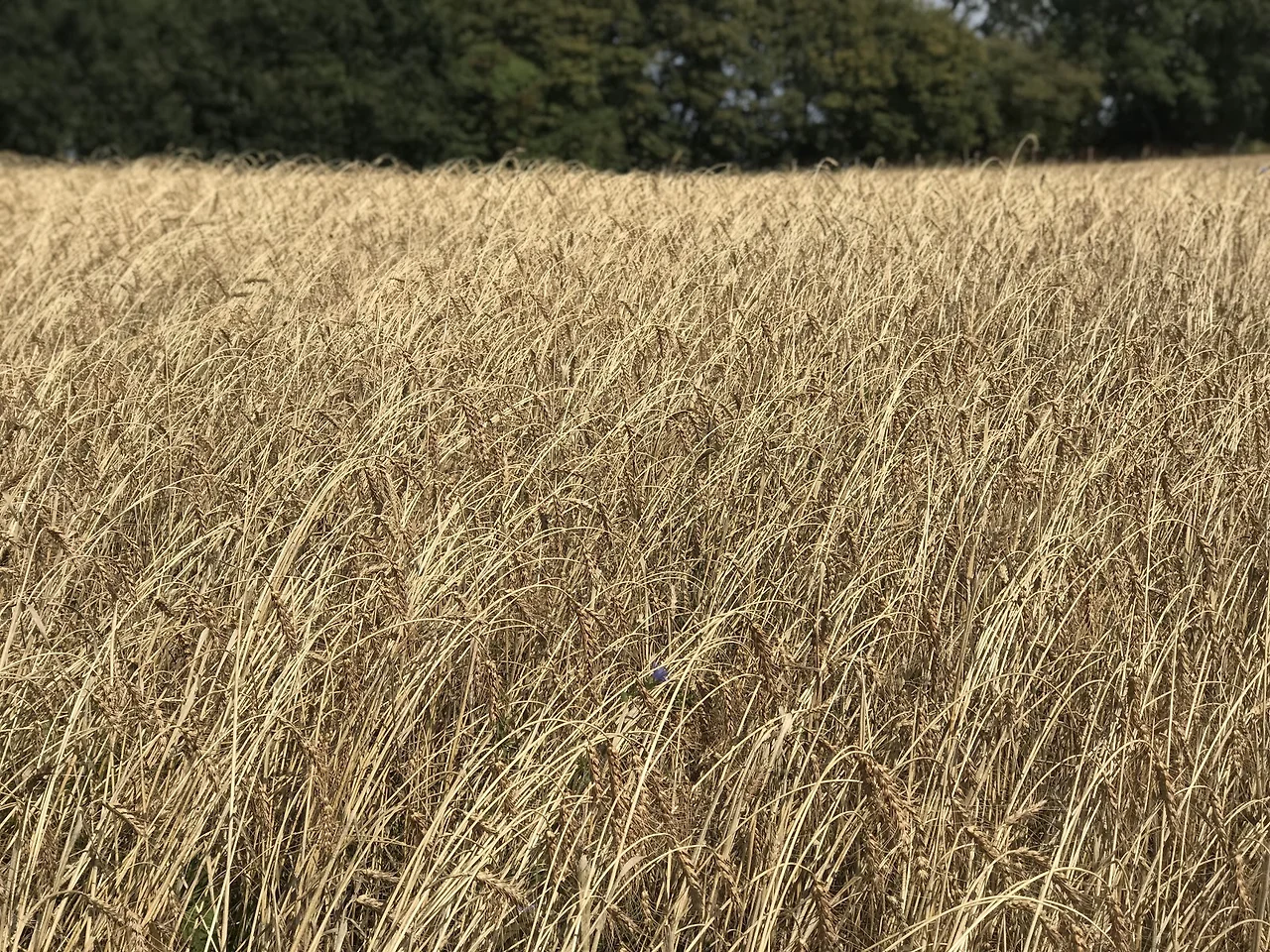 m2kbz7zTsUMxIfH9gdFuxyVtSBziXO3BrzqBV50xc2LuD-mP3_ieEcDkLd0SrvLpPycuAVI_EZijl_rJ3GaHTJZN5A47DyfgRfiU2lluLCC5pZhGVMl9fc8i9O9x-xaAD20banAV