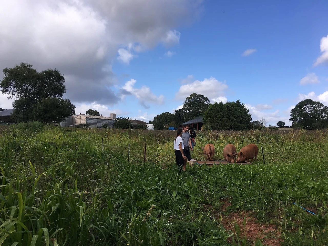 v2_ikTnPqyPyA-scpMSXyyRBwLvH0fkxXteJWLk77d2Gd6IA0wvelZXq_iUPQ4F6oTzylnrLVlMn6iA-Gq0hES6awQHLxqxRWXR7IDxmQvqQeRNX2_6oRzhLgpfmhhVSJJ5g3Hw8