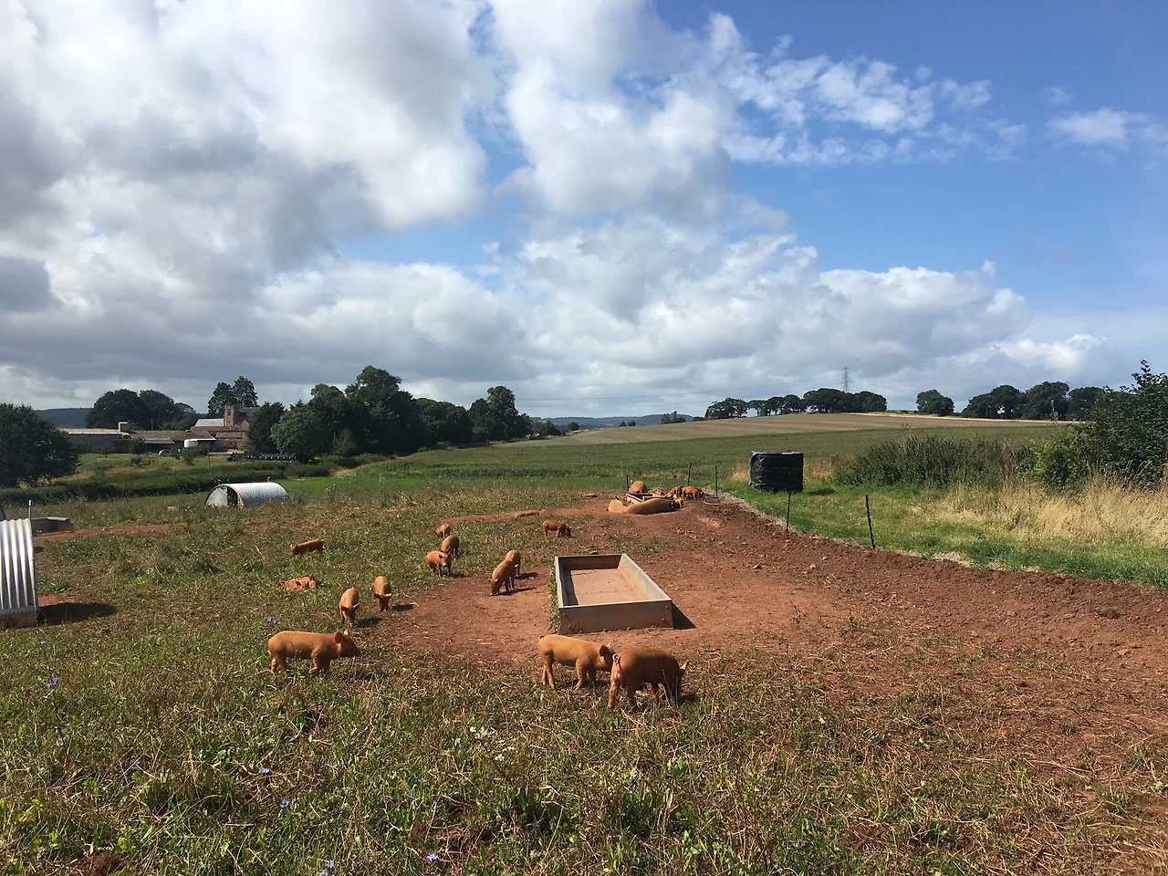 RwJ_M3Q1GEiloZ0NIu1_yInvR1_lQ2h3jgImTQo8v0l6tLGkG-6eKwL2p-YBPFbEpyZ2CazoFyJZbJbG5lSklKxtRfqYM2BFwowoo_8ea0UyRFQxY4-_aRcBeR--3o3FErGj6ppM