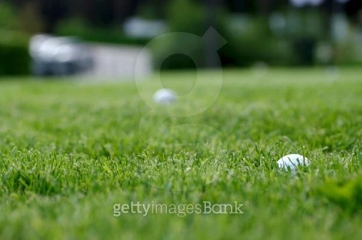 ?src=http%3A%2F%2Fimagescdn.gettyimagesbank.com%2F500%2F08%2F371%2F679%2F0%2F137881561.jpg&type=sc960_832