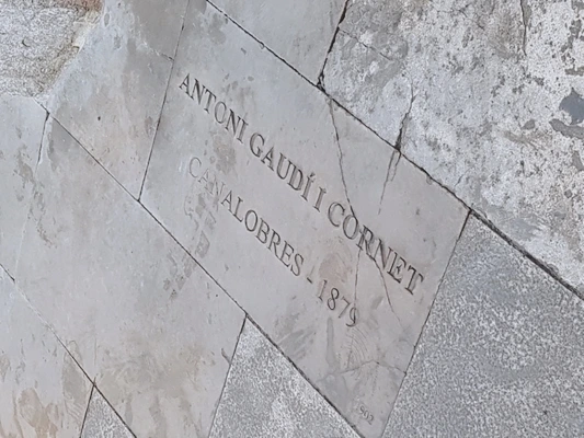 image_1042360661501674831429.jpg?type=w773