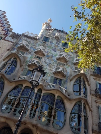 image_6017742041501677034758.jpg?type=w773