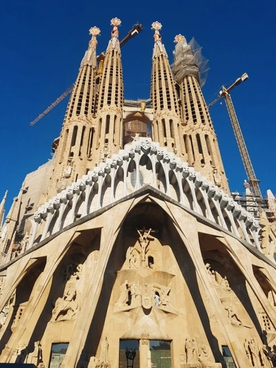 image_2922203311501680666047.jpg?type=w773