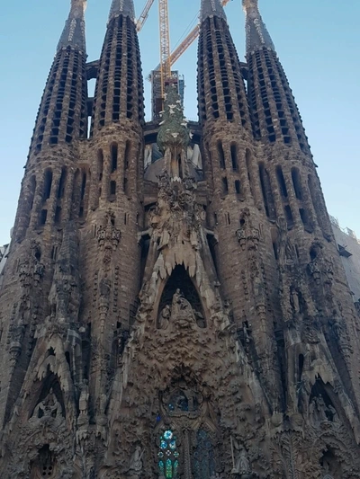 image_6639715251501678890424.jpg?type=w773