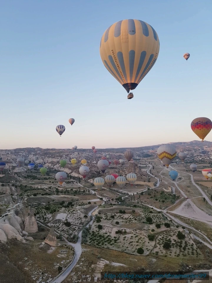 image_8519347201501033140459.jpg?type=w773