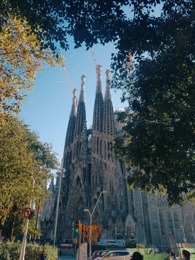 image_8875167541501678777805.jpg?type=w773