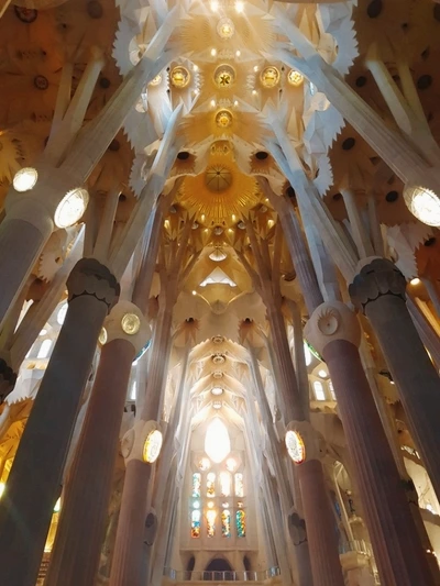 image_5312321391501680694573.jpg?type=w773