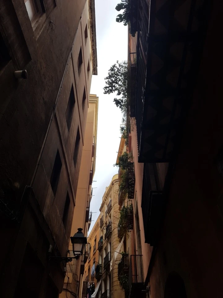 KakaoTalk_20170812_100155422.jpg?type=w773