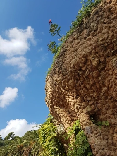 image_5798569031501677778723.jpg?type=w773