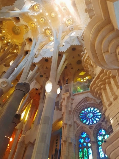 image_2858987351501680717561.jpg?type=w773