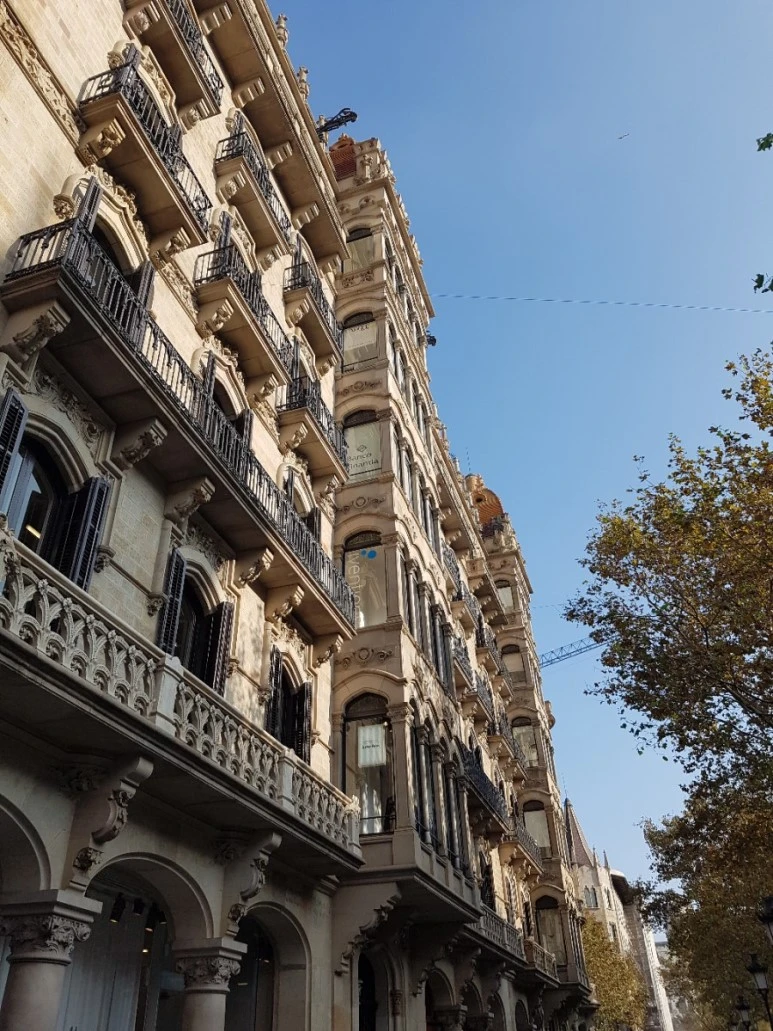 20161103_150812.jpg?type=w773