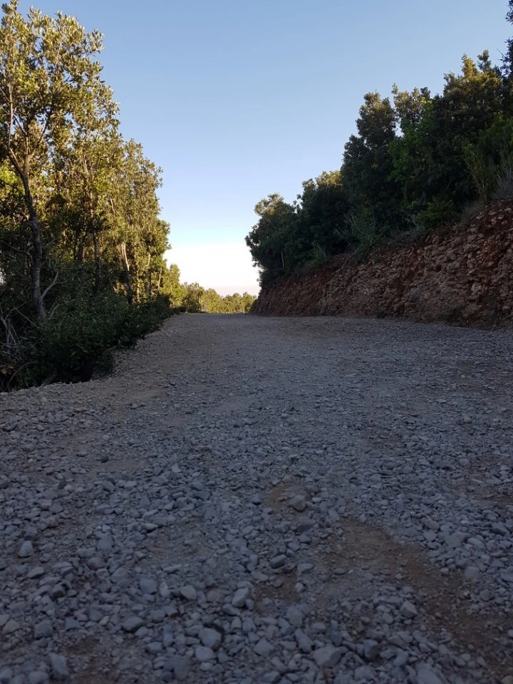 KakaoTalk_20170808_103841832.jpg?type=w773