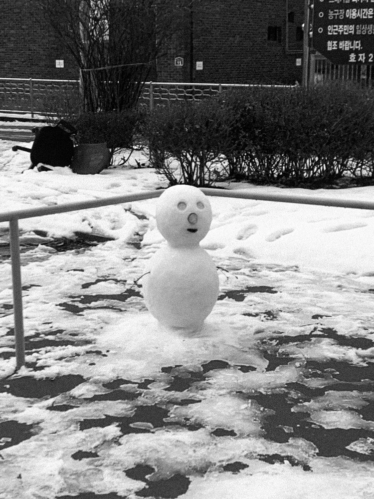 image.JPEG?type=w966