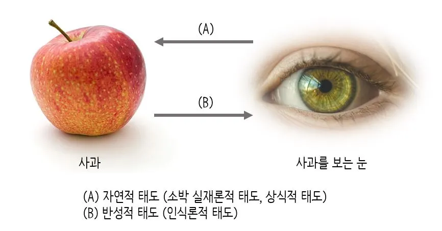 사과 보는 눈.JPG