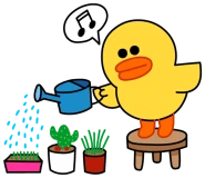 original_24.png?type=p50_50