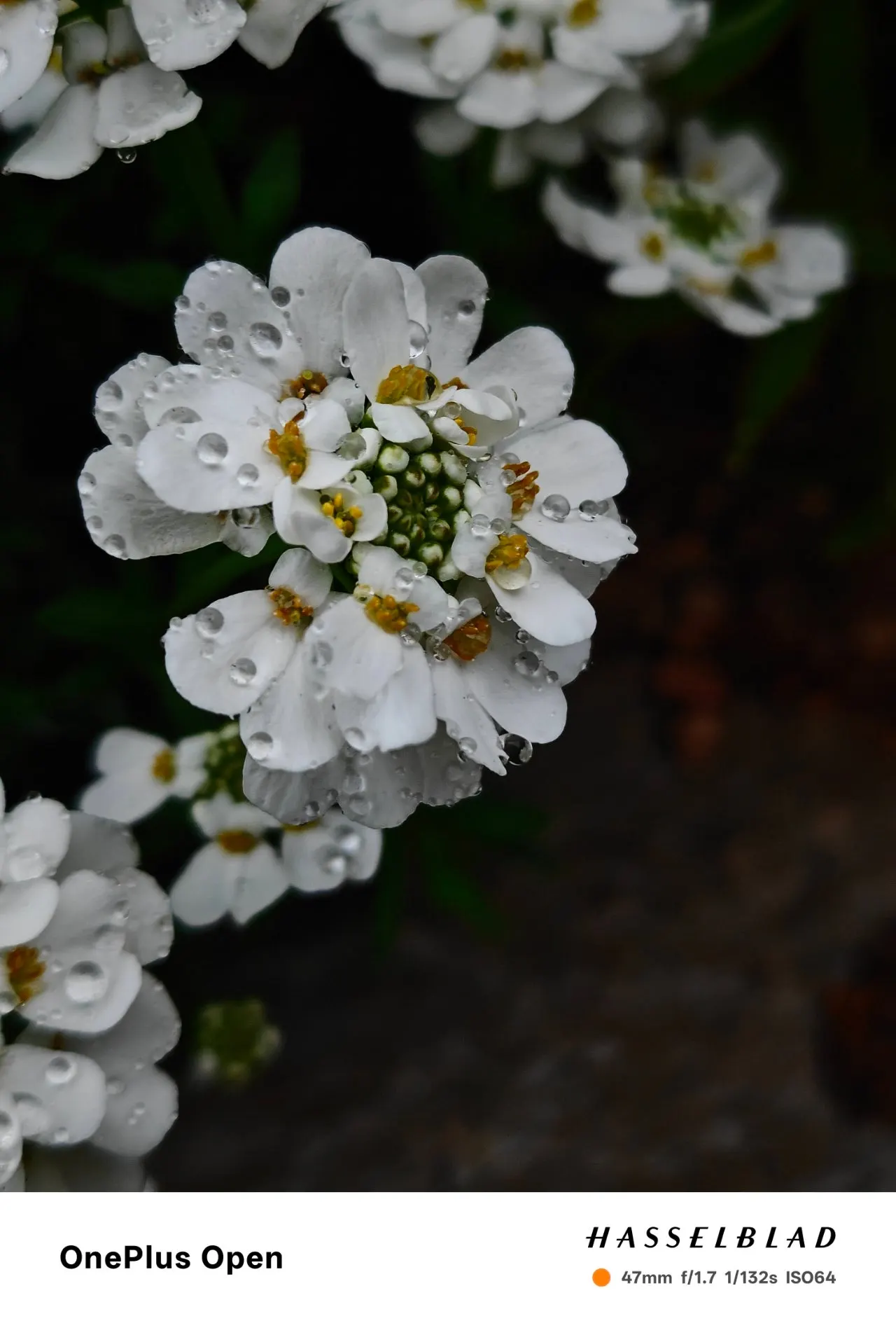 1280%EF%BC%BFIMG20250419075554.jpg?type=w1600