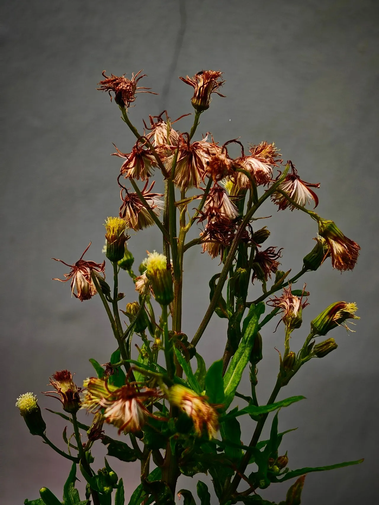 IMG20240907075240.jpg?type=w1600