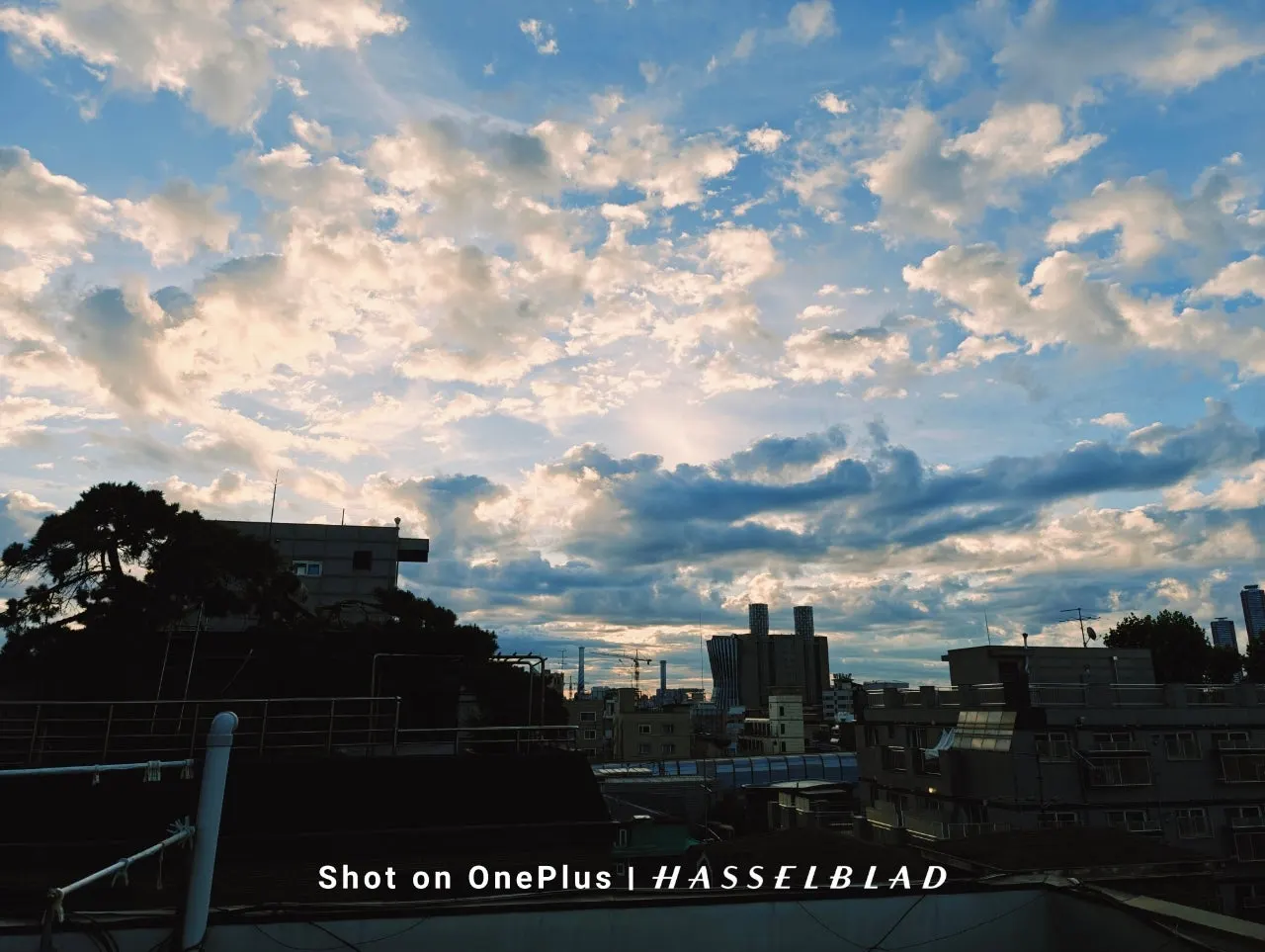 IMG20240929065732.jpg?type=w1600