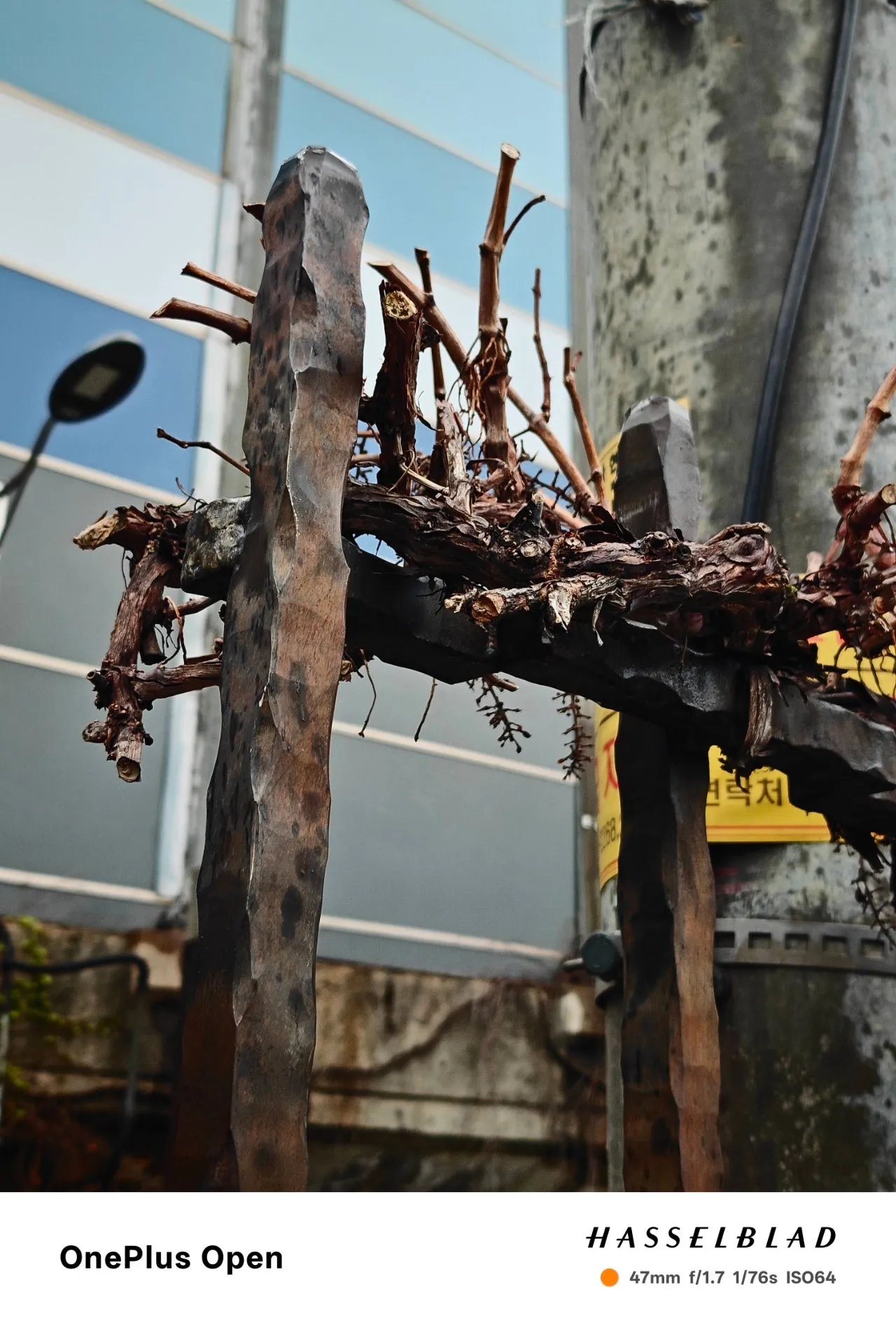 1280%EF%BC%BFIMG20250419075434.jpg?type=w1600