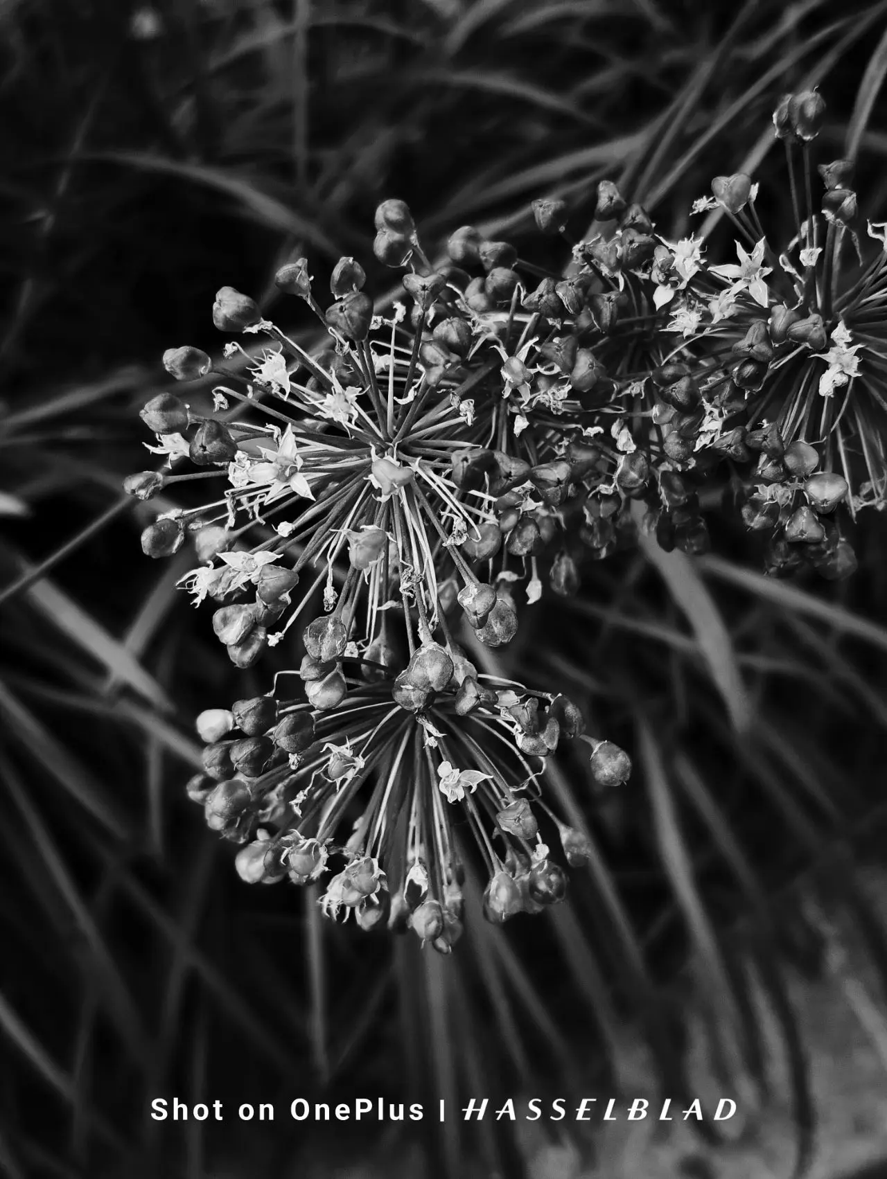 IMG20240925162237.jpg?type=w1600